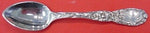 Chrysanthemum by Tiffany and Co Sterling Silver Demitasse Spoon 4"