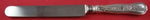 Olympian by Tiffany and Co Sterling Silver Regular Knife Blunt WS 9 3/8" Antique