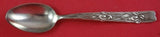 Vine by Tiffany and Co Sterling Silver 4 O'Clock Spoon with Iris 4 3/4" Heirloom